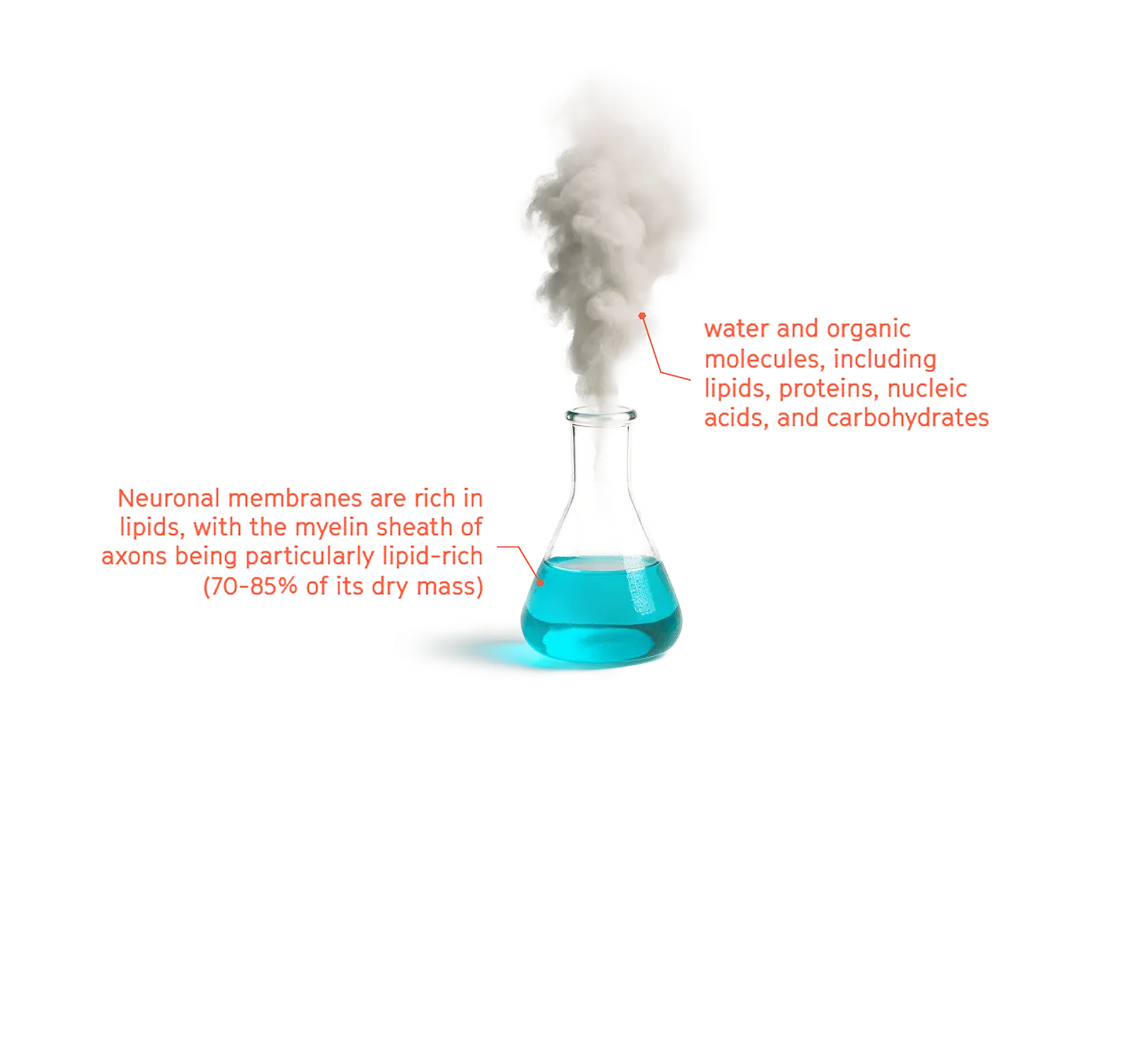 Academics - Science icon